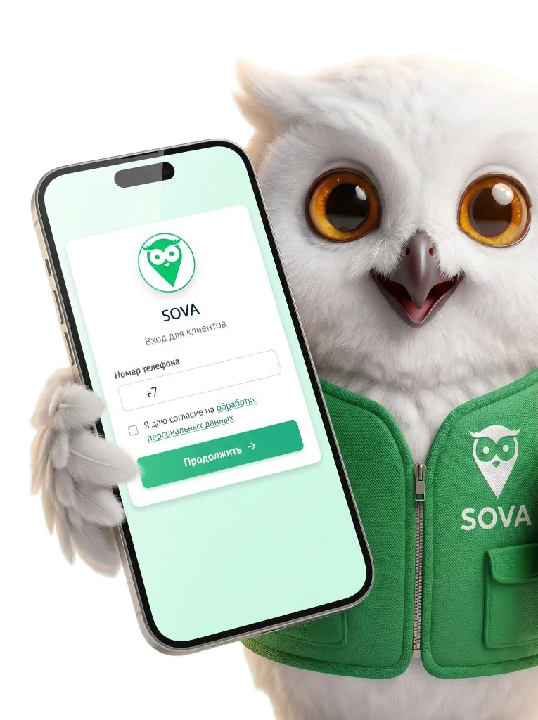 Регистрация в SOVA — сова с телефоном и экраном входа